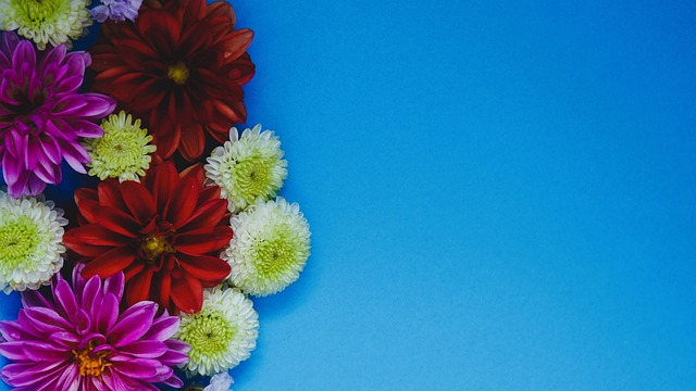 无疑为球队 无疑为球队