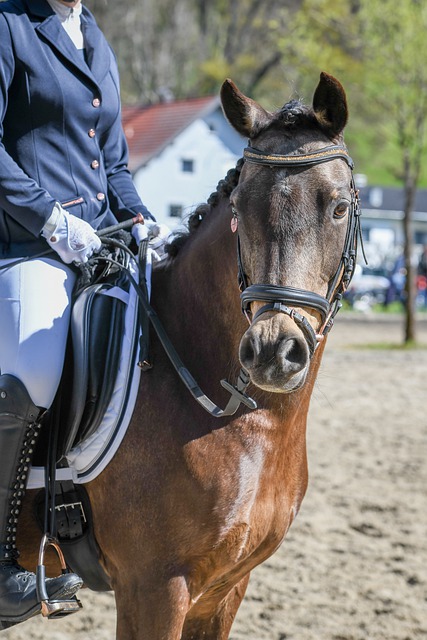 这看似时间 这看似时间