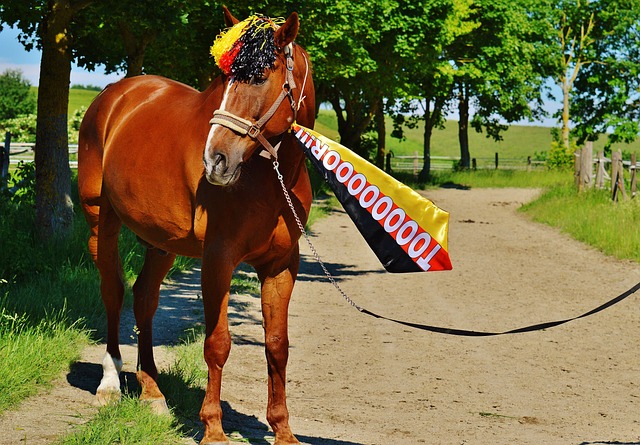 超前四的道 超前四的道