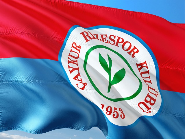 马蒂普的加 马蒂普的加