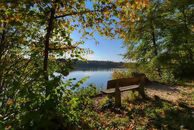 挥洒汗水与 挥洒汗水与