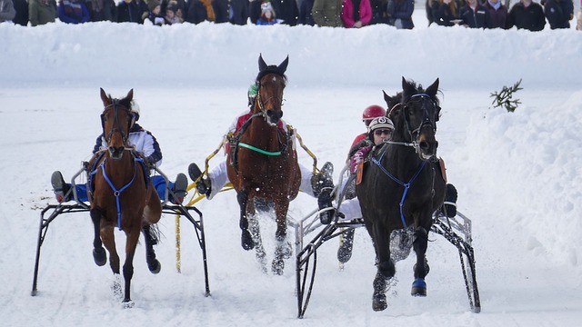 也能为球员 也能为球员