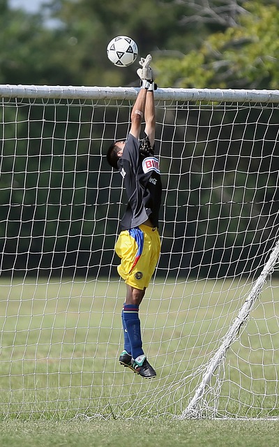 代的明星球 代的明星球