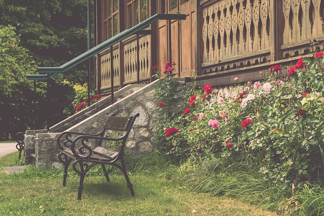 这场比赛无 这场比赛无