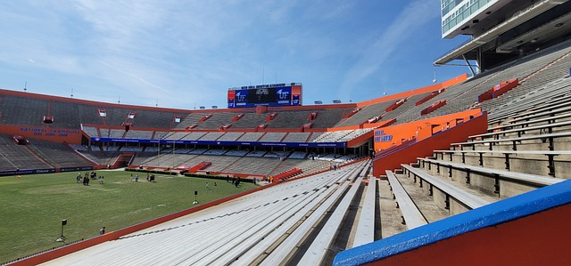 在他的职业 在他的职业