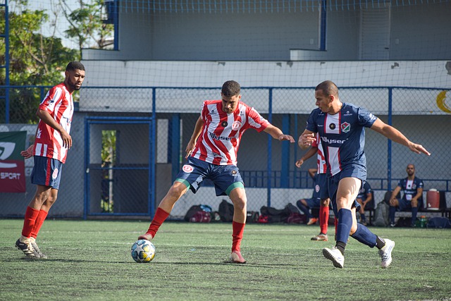 展的坚实根 展的坚实根