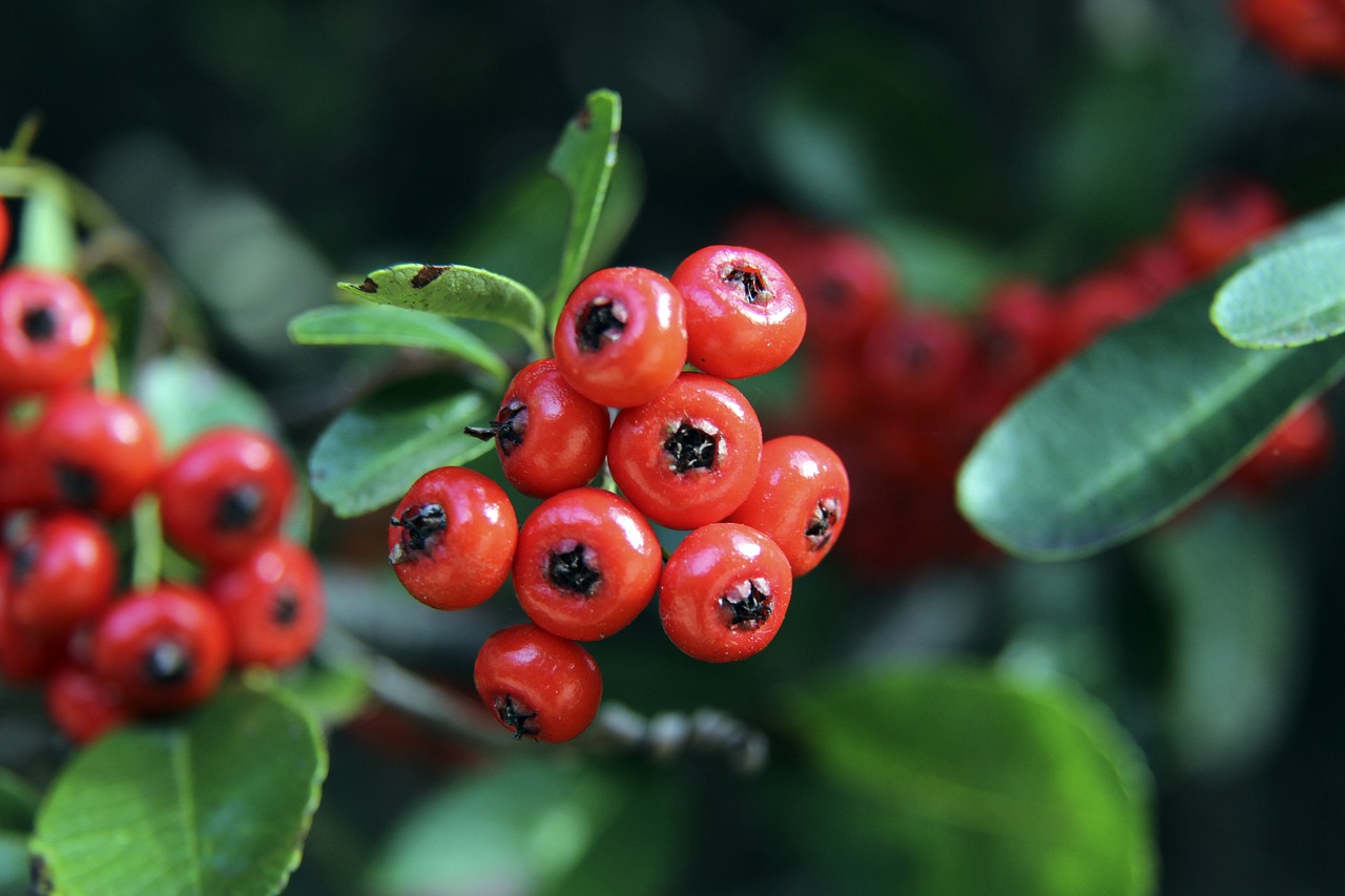 精准传中找 精准传中找