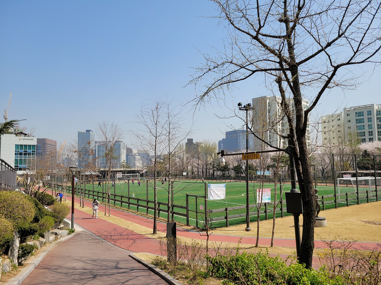 明确地识别 明确地识别