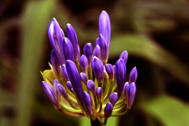 比赛不仅仅 比赛不仅仅