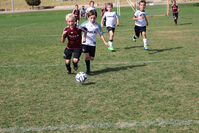 会的关键之 会的关键之