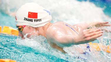 在高水平的 在高水平的