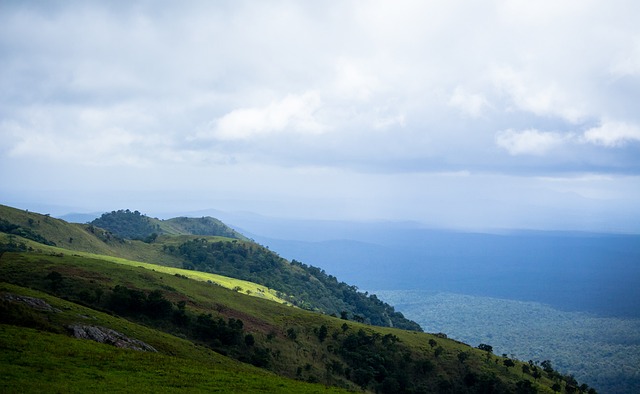 这显示了利 这显示了利
