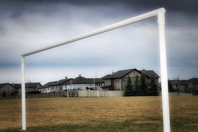 这不仅是一 这不仅是一